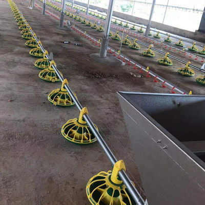 OEM / ODM Hühnerfutterleitung Galvnized Stee Broiler Feeding System