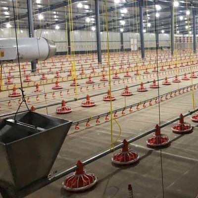 Automatisches Fütterungssystem für Züchter / Broiler 750 W mit 1 Jahr Garantie