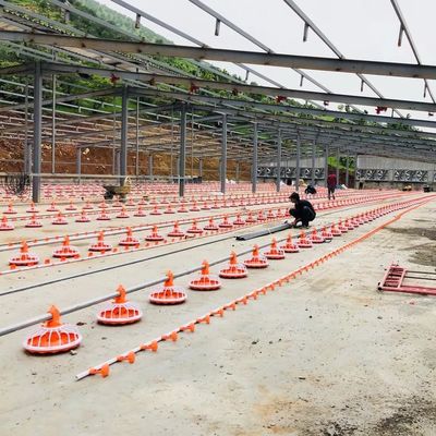4 Pan/3m Geflügelfarmgeräte 380v Automatisches Fütterungssystem