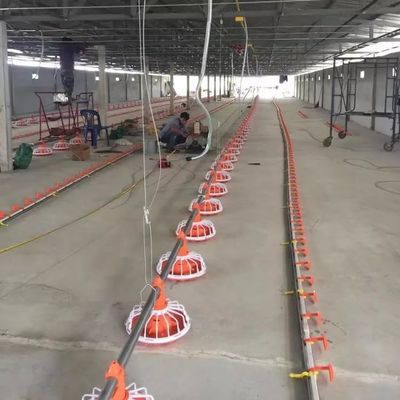 14 Grills Broiler Farm Equipment 3 pan/3m Broiler Poultry Farming Equipment