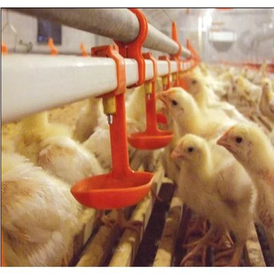 Bird Quail Chicken Nippeltränkesystem 3 Monate Garantie