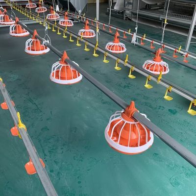 EO Feeding Poultry Farm Equipment Automatisches Fütterungssystem für Geflügel 1 Jahr Garantie