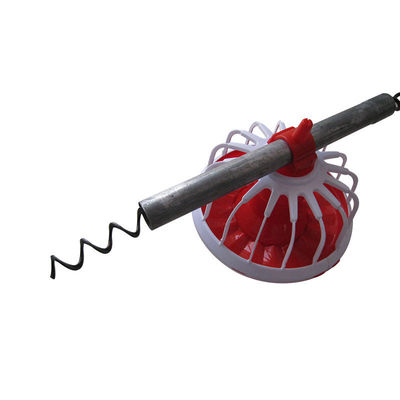 Verwendung von Schnecken in Südafrika in einem automatischen Fütterungssystem