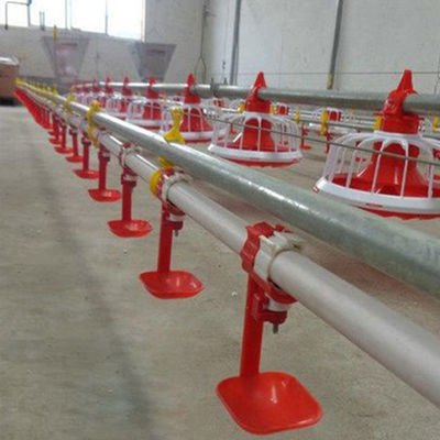 380v Geflügelfarmgeräte 3 Pfannen/3m Automatisches Pfannenfütterungssystem