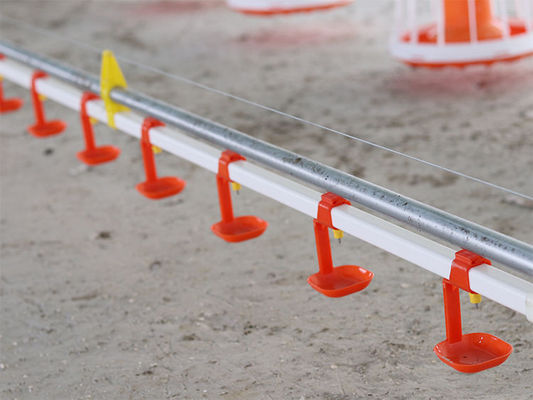 750-W-Geflügelfarmausrüstung 380-V-Huhn-Tränkepfannen-Fütterungssystem