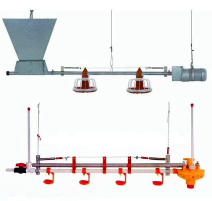 450 kg/h Vollautomatische Hühnerfutterlinie mit verzinktem Trichterrohr