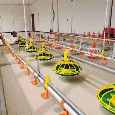 450 kg/h Vollautomatische Hühnerfutterlinie mit verzinktem Trichterrohr