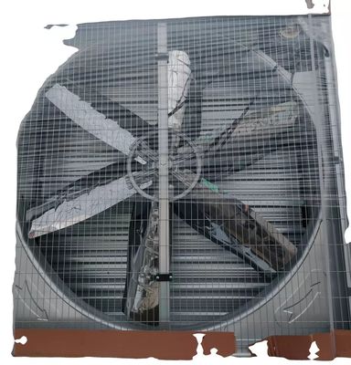 Geflügelstall-Abluftventilator Schweinefarm Industrieller langlebiger Lüftungsventilator Hühnerstall-Abluftventilator-Kühlsystem