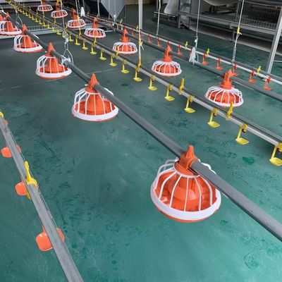 Dia.25mm Automatischer Geflügelfutterautomat für Masthähnchen 10 Jahre Lebensdauer