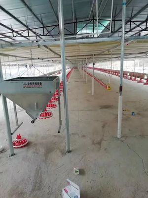 Automatische Fütterungsmaschine der Plastikgeflügelfarm-Ausrüstung 380v 0.75kw für Geflügel