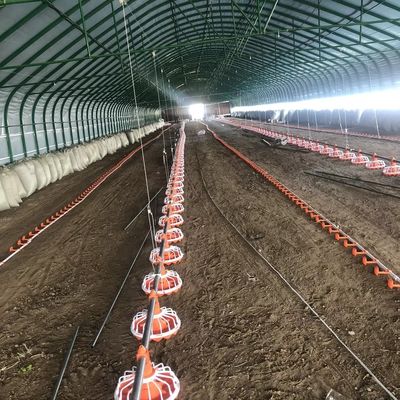 45-60 Hähnchen-Geflügelfarm-Ausrüstung 3 Pfannen/3 m Geflügelfarm-Fütterungssystem