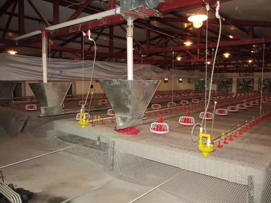 CE-Zertifizierung Hähnchen-Geflügel-Ausrüstung Einfache Installation