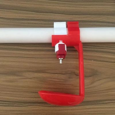 5-10 Birds Automatic Chicken Nippel Waterer 22 * ​​22mm Wasserleitung