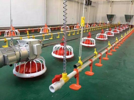 Durchmesser 60 mm Fütterungsmaschine für Geflügelfarmen aus verzinktem Stahl