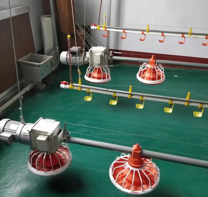 Brüter / Broiler Geflügelzuchtmaschine 14 16 Fächer
