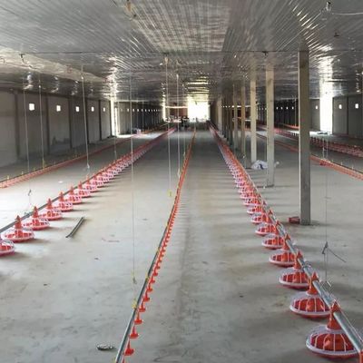 Verzinktes Rohr Geflügelzuchtmaschine Pfannenfütterungssystem Durchmesser 45 mm