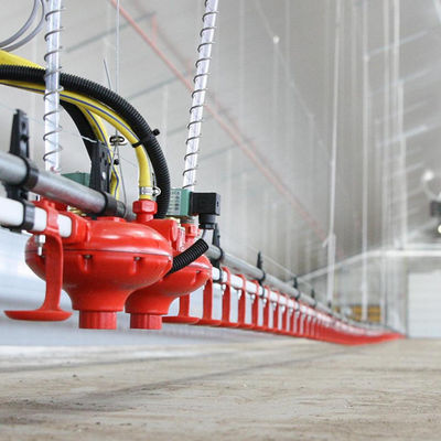 Kunststoff-Geflügelfutterautomat und Tränke mit langer Betriebszeit