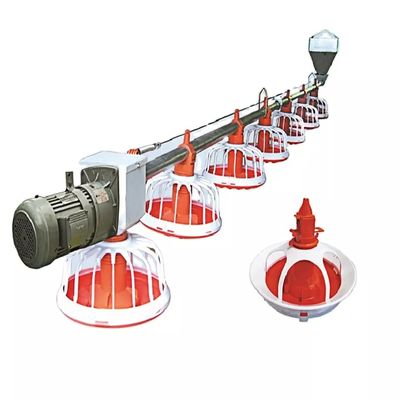 0,75 m Tablettabstand Geflügelzuchtmaschine 16 Fächer pro Pfanne