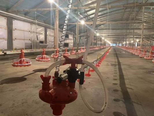 4 Pfannen/3 m Hühnerfutterautomat 380 V 0,75 kW mit Antriebsgerät